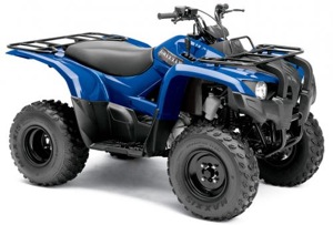 2012 Grizzly 300 2WD